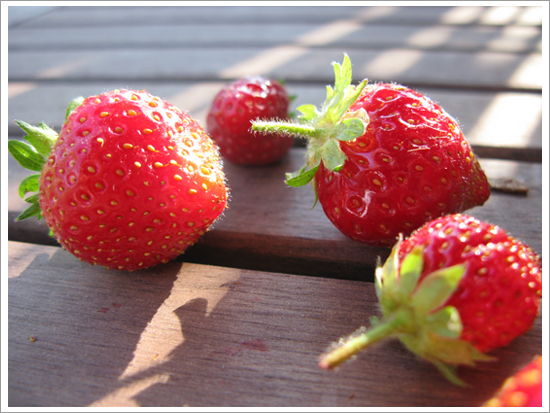 Food as a&nbsp;Doorway