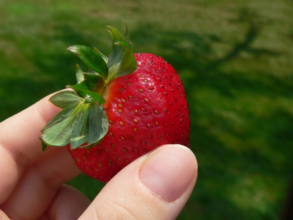 Mindfulness:  5 Treasures That Transform Your&nbsp;Eating