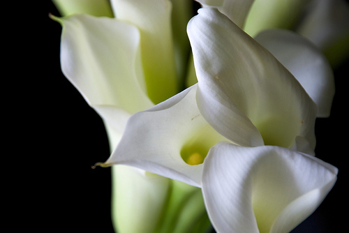 A Guest House for&nbsp;Grief