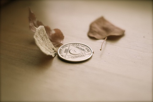 A Year of&nbsp;Serenity